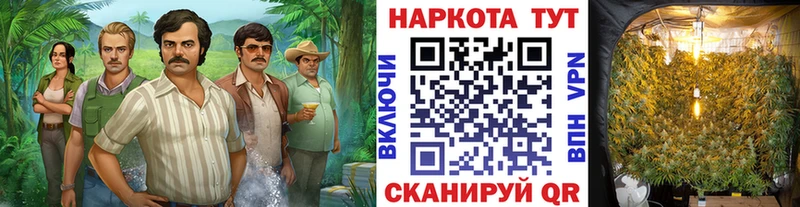 Где продают наркотики Эртиль Метадон  Меф мяу мяу  Гашиш  АМФ  Бошки Шишки  Cocaine 