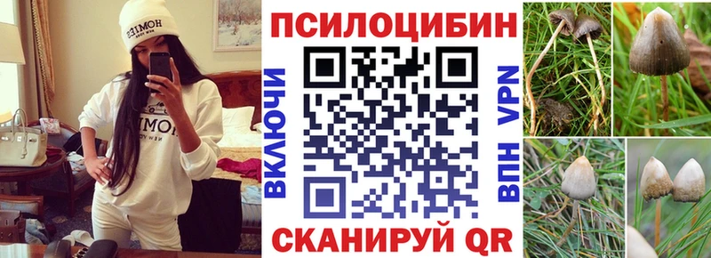 мега как войти  Эртиль  Галлюциногенные грибы ЛСД  как найти закладки 