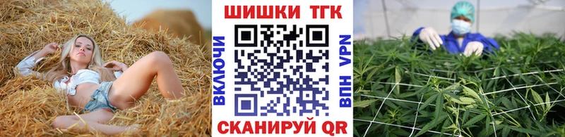 Конопля гибрид  Эртиль 